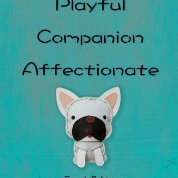 8 X 10 inch CoCo the French Bulldog Digital Art Print in Blue background , Dog Print , Wall Art, Deco Wall ,Vintage feel